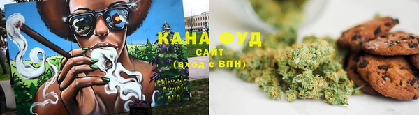 прущая мука Дмитриев