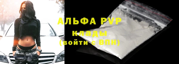 прущая мука Дмитриев