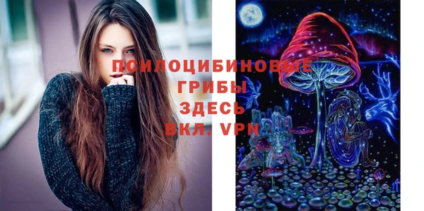 прущая мука Дмитриев